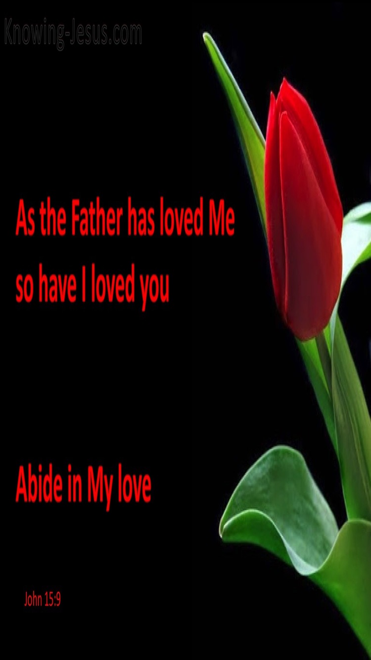 John 15:9 Abide In My Love (red)